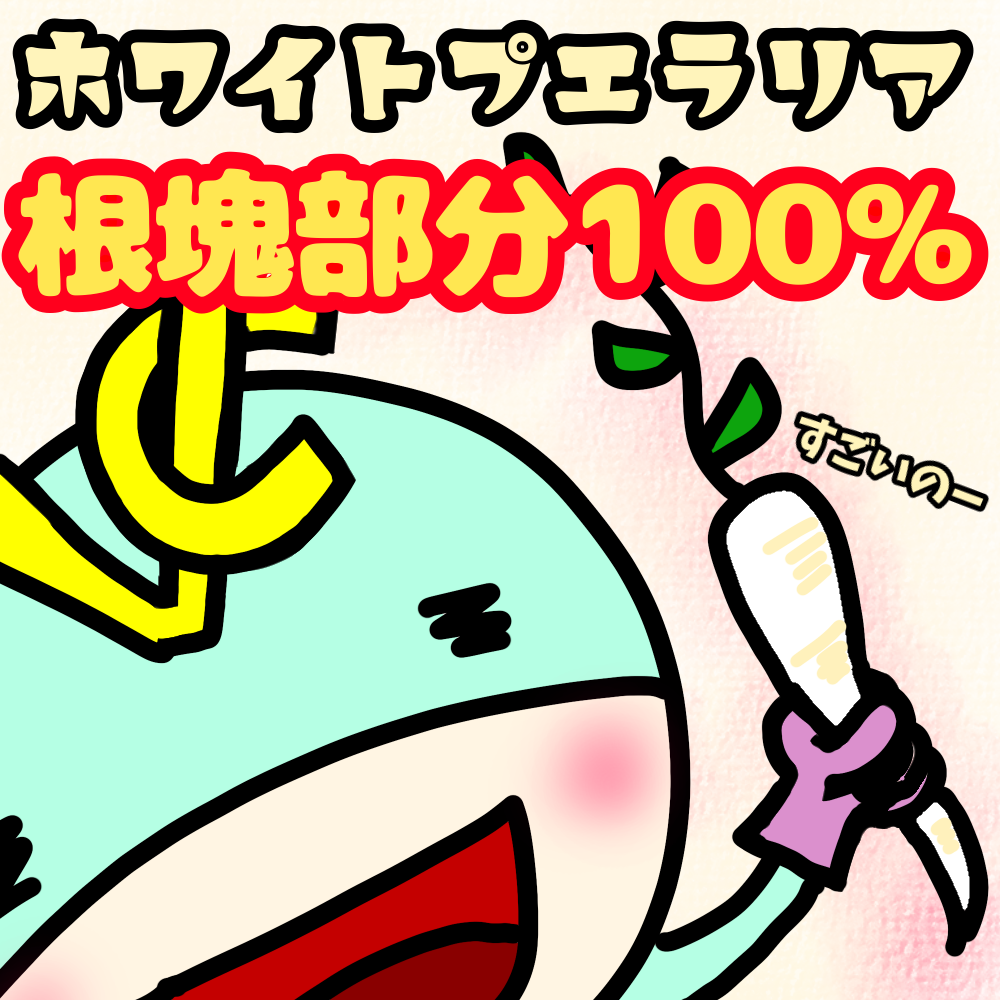 ドクタープエラリア2個セット